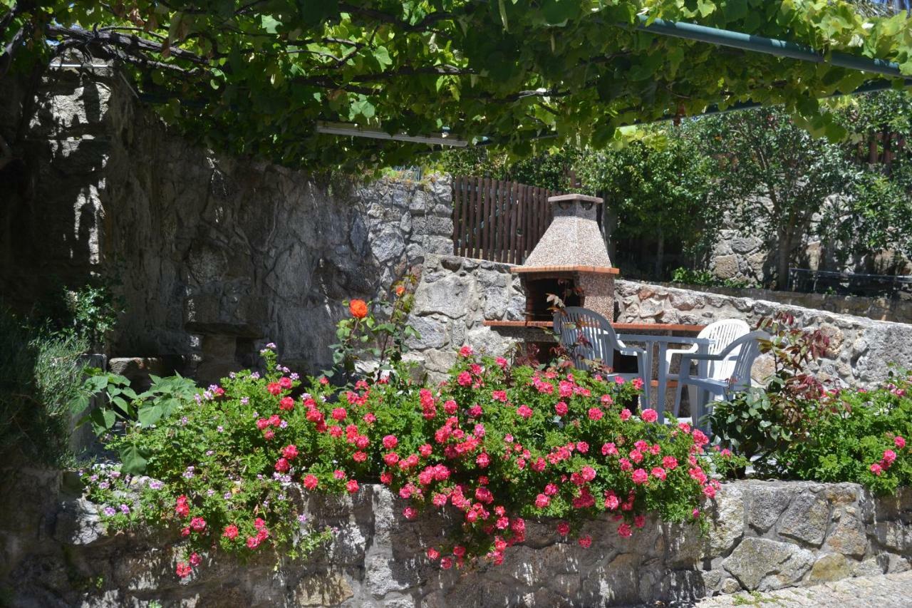 Quinta Do Real - Casa De Campo Viana do Castelo Dış mekan fotoğraf